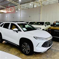 بي واي دي سونغ L DM-i